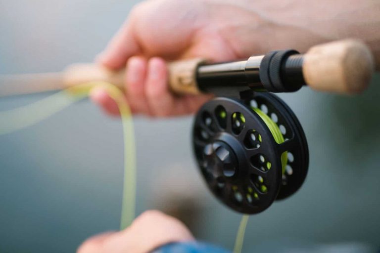Fly Fishing Reel