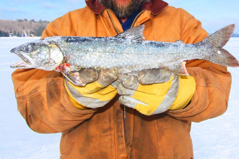 Person Holding a Fish