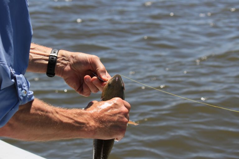 Caught Fish Held in Hand