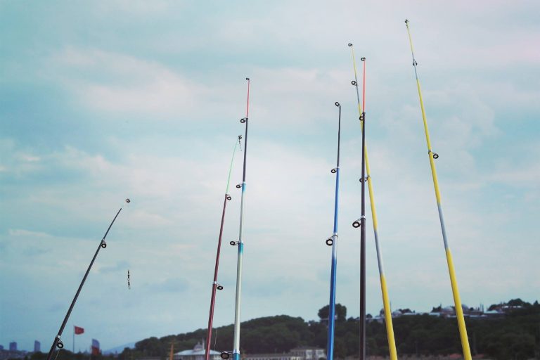 Rods Pointed Upwards