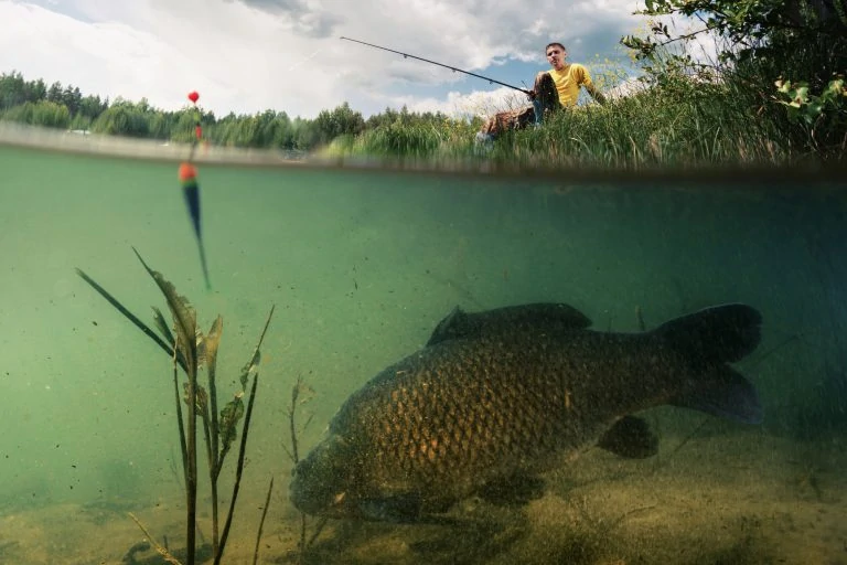 Fisherman Waiting for a Bite