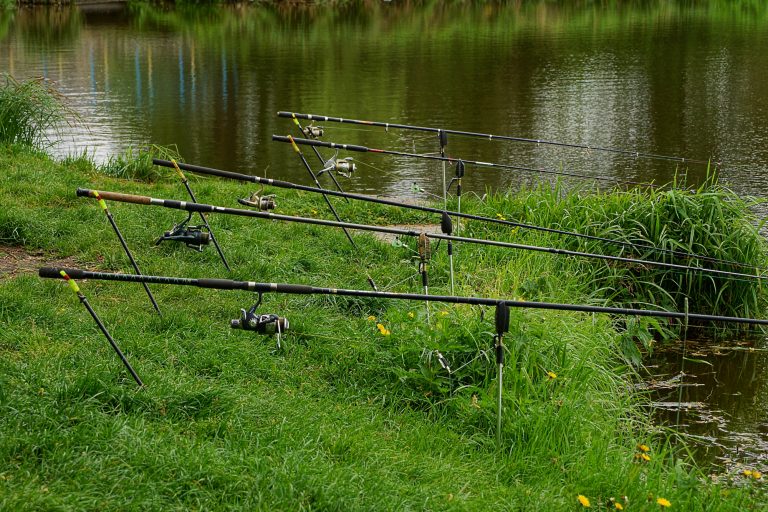 Fishing Rods with Bite Alarm