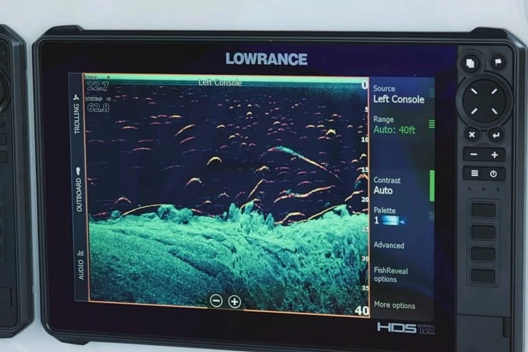 LOWRANCE Active Imaging - Downscan