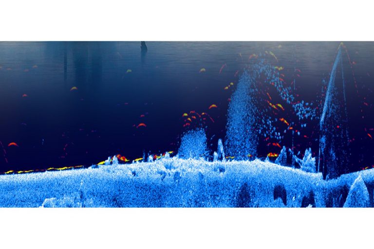 Lowrance Fish Reveal