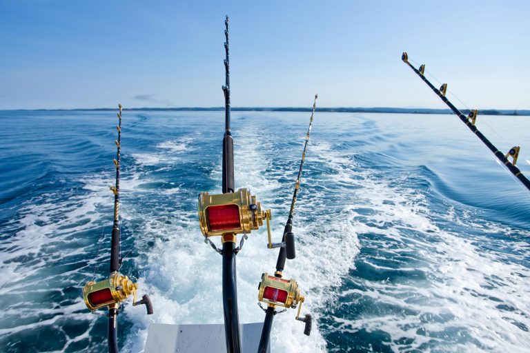 Trolling Rods at the Back of a Boat
