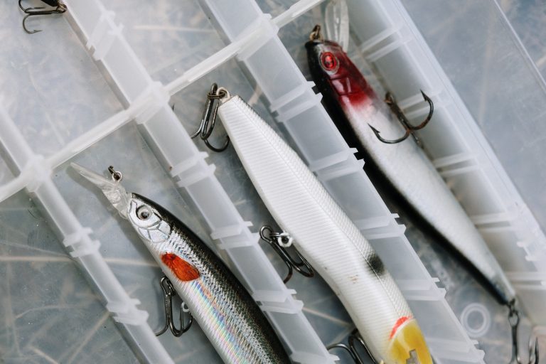 Close Up of Tackle Box Compartment