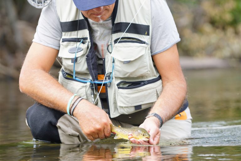 Fisherman Releasing Brown Trout