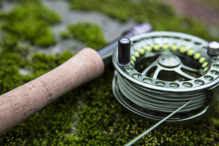 Fly Rod on Mossy Surface