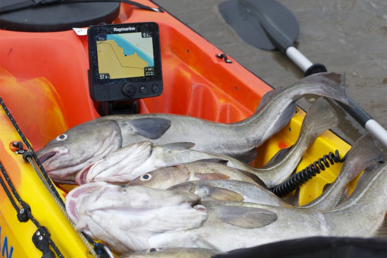 Raymarine Dragonfly on a Kayak