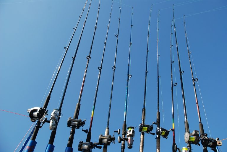 rods with reel