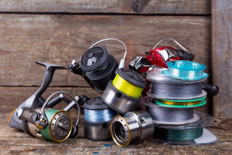 Spinning Reel and Fishing Lines