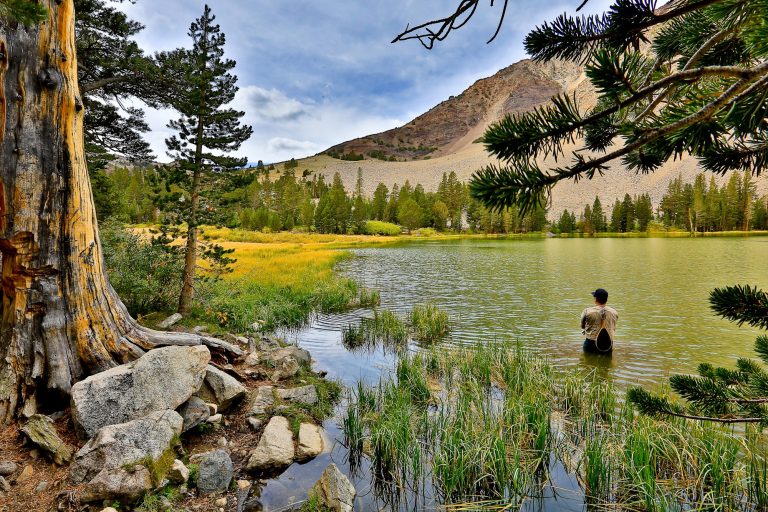Fly Fishing at a Beautiful Lake